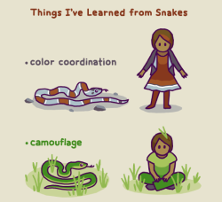birdandmoon:Snakes are amazing! High five (/tail?) to all the snake fans. The species in this comic are gray-banded kingsnake, smooth greensnake, baby black racer, and timber rattlesnake. They’re not to scale vs the people - most are pretty small.Original