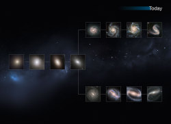 distant-traveller:  Hubble explores the origins of modern galaxies  Astronomers have used observations from Hubble’s CANDELS survey to explore the sizes, shapes, and colours of distant galaxies over the last 80% of the Universe’s history. In the Universe