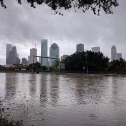 isaia:   itsdorkgirl:  Hurricane Harvey Houston, Texas  August 26, 2017  * * * COPY, PASTE, SHARE * * * If your home is taking in water, shut off power via breaker box. Elevate yourself above the water if possible, and use wood to shut off. Excessive