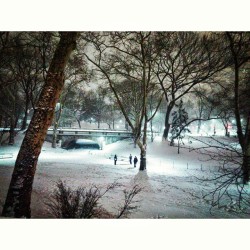 #blizzard #nyc #snow #2015 #january #storm #snowstorm #frozen #elsa #winter #winterwonderland #seasons (at Central Park West)
