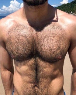 thebearunderground:  The Bear Underground - Best in Hairy Men (since 2010)🐻💦 Over 40,000 followers and  63k+ posts in the archive 💦🐻   Perfect furry torso!