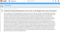 terefah:observant pregnant jewish woman goes to r/legaladvice because her coworker tricked her into eating treyf, turns out said coworker was posting in the subreddit a week earlier trying to find ways to get her fired for “not fitting into company