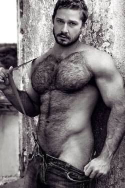 thumper339:  Handsome, bearded, muscular man wit’ lots o’ hair everywhere!! Can ya’ smell him! That’s the scent o’ a man! 
