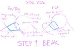 cheeziesart: SO YOU WANNA DRAW CATS AND DOGS BUT THOSE PESKY SNOOTS GET IN THE WAY Here’s a hopefully helpful tutorial on how to draw them from memory but it also helps to understand and break down how to see their structure when you use reference!