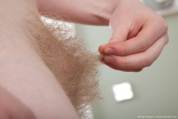 naturalblondepubes:Stretching out the blonde pussy hairs.