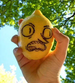 fyeahadventuretime:  otterlogic:  UNACCEPTABLE.  ha ha it’s a grabbed lemon