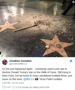 thefingerfuckingfemalefury:  minecraftprideflags:  catchymemes:  Donald Trump’s Star on the Hollywood Walk of Fame is destroyed by man carrying a pickaxe in a guitar case.  Just like minecraft…  &lt;3 Not all heroes wear capes Some carry pickaxes