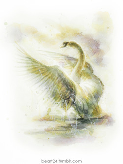 beart24:  Swan 