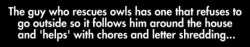 basedpidgeot:  ker-smash:  taskscape:  ARE YOU FUCKING SERIOUS  Give me this owl  stuff like this keeps me going. y’know? why should i be sad when there’s a guy somewhere who goes about his normal life with an owl following him about 