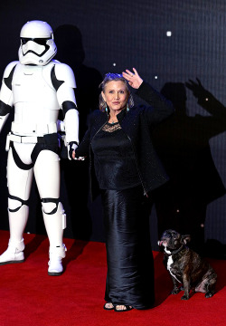nicocoer:  rosalindrobertson:  fysw:  Carrie Fisher and Gary - Star Wars: The Force Awakens Premiere at Leicester Square on December 16, 2015 in London.  So, this is important. Carrie Fisher has an invisible illness and disability - severe mental illness