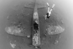 operationbarbarossa:  A Japanese Zero fighter plane on the bottom of the sea; Papua New Guinea - August 2014Photo by Steve Jones (via)