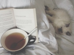thegreatestgatsbythereeverwas:  These are a few of my favorite things