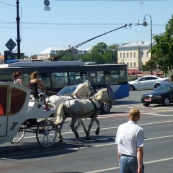 #public #transport #transit #carriage #horse #horses #trolleybus #city #road #auto  June 14, 2012  #summer #heat #hot #travel #SaintPetersburg #StPetersburg #Petersburg #Russia #СанктПетербург #Петербург #Питер #Россия