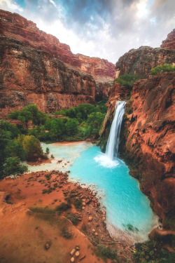 lsleofskye:  Havasu Falls | davidmruleLocation: Havasu Creek, Grand Canyon, Arizona, United States