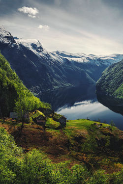 mstrkrftz:  The Green Fjord by Max Rive 