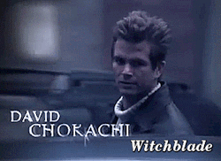 el-mago-de-guapos:  David Chokachi Witchblade 