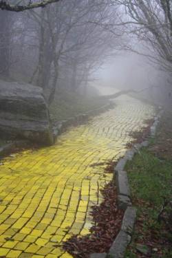unsav4ble:  stunningpicture:  Eerie photo of the Yellow Brick Road from an abandoned Wizard of Oz theme park in North Carolina.  ain’t no way in hell am I following that 