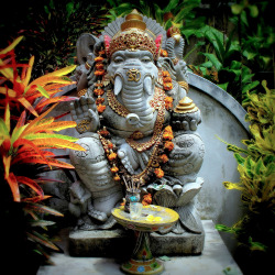 ivashiva:  Ganesha by   Peter Hunziker 