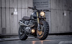 perspectiverelativity:  caferacerbursa:  Down &amp; Out Cafe Racers Triumph T100 Scrambler Fat Tires…  This is too much. I can’t handle the beauty  freexcitizen 
