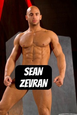 SEAN ZEVRAN at RagingStallion - CLICK THIS TEXT to see the NSFW original.  More men here: http://bit.ly/adultvideomen