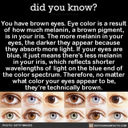 did-you-kno:  You have brown eyes. Eye color is a result of how much melanin, a brown pigment, is in your iris. The more melanin in your eyes, the darker they appear because they absorb more light. If your eyes are blue, it just means there’s less melanin