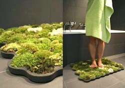weegboi:  takethedamncash:  Moss Shower Mat that lives off the water that falls after you get out of the shower and feels great on the feet!  great i’ve always wanted my feet to be covered in green shit and dirt after i shower   For the comment.  ^