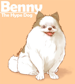 a few days ago sketching some crap i decided to try this, and i draw the most realistic dog of my life xD Benny (the most awesome pomeranian) is Maximilian Dood dog  