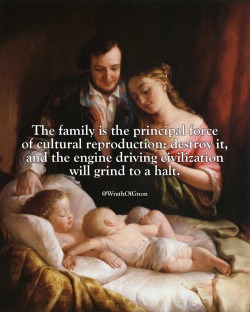 wrathofgnon:  The family is the principal force of cultural reproduction: destroy it, and the engine driving civilization will grind to a halt.   Unfortunately, the &ldquo;government&rdquo; wants to be our &ldquo;family&rdquo;