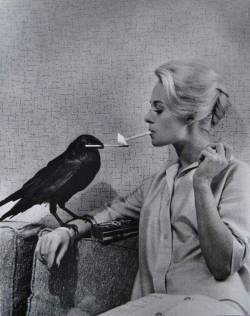 afreshlyfuckedme: truecrimecreep: Tippi Hedren having her cigarette lit by a crow on the set of The Birds Classic Tippi.  Perfectly Hitchcock. 