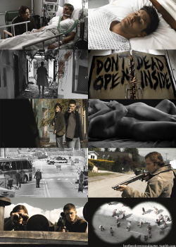 brothersloverssoulmates:  Zombie Apocalypse AU for Vlad ♥ Dean gets severely hurt on a hunt and has to be hospitalized. The last thing he remembers is Sam’s worried face and trying his damnest to give his little brother a reassuring smile. When Dean