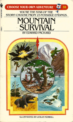 Choose Your Own Adventure No. 28: Mountain Survival, by Edward Pickard. Illustrated by Leslie Morrill (Bantam, 1984).From a charity shop in Arnold, Nottingham.