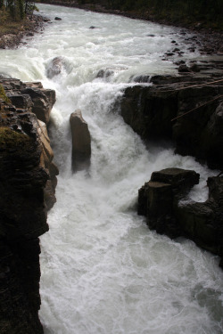 oivm:Sunwapta Falls 