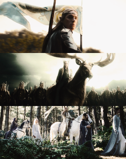 ohmaglor:  The Elves have their own labours and their own sorrows, and they are little concerned with the ways of hobbits, or of any other creatures upon earth 