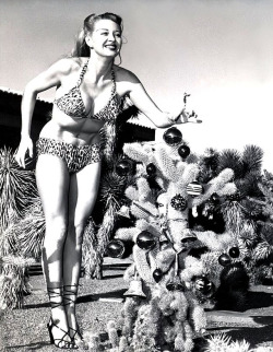 Vegas showgirl Sunny Knight helps decorate the Christmas Cactus..