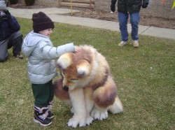 fedorapunk:  I thought this was a really large dog for a second, but then the realization hit me. 