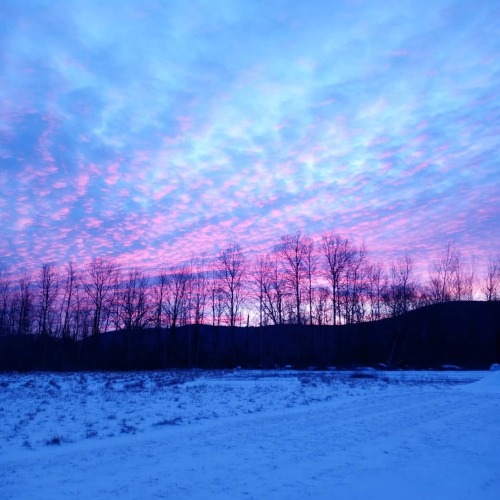 Pittsfield, MA, USA Seven something in the morning  . . . . . . . . #landscape #photography #berkshires #Pittsfield #massachusetts #7am #snow #trees #silhouette #clouds  (at Massachusetts) https://www.instagram.com/p/CKTtkZQl2Qz/?igshid=7591lq50ubxf