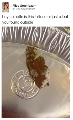 poseysprayberries:  vampireapologist: Lmao i worked at chipotle. This is the bay leaf from the bag we get the carnitas meat in before we shred it. I was always told to throw them away. I honestly don’t blame them, I hate finding bay leaves in my food