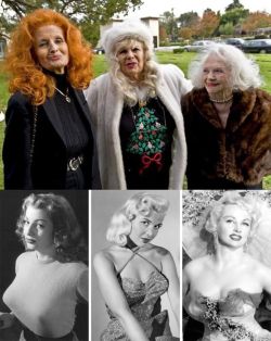 retrogasm:  One of the greatest photographs ever taken.  Tempest Storm, Gloria Pall and Dixie Evans at Bettie Page’s funeral.