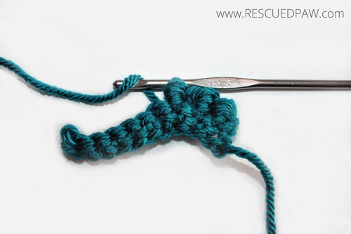 How to Crochet the Roll Stitch 