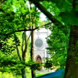 #View on #Church of Saint #Alexander #Nevsky, a #gothic #chapel built by #Karl #Friedrich #Schinkel, in #Alexandria #Park, #Peterhof, #Russia   #architecture #art #artmonuments #monument #beauty #trees #tree #green #leaves #linden #colors #colours #shadow