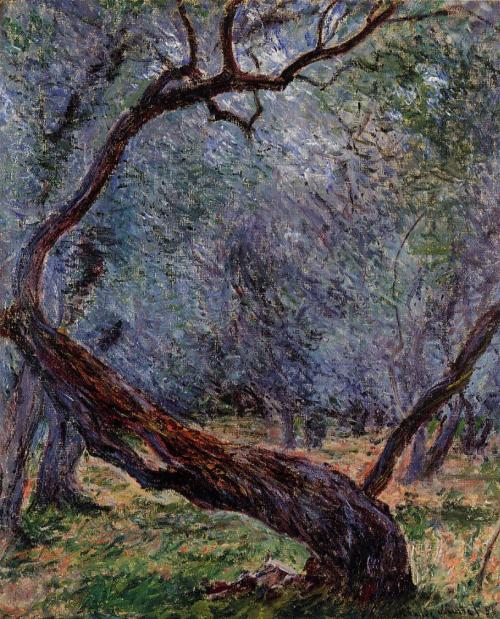 artist-monet:  Olive Trees (Study), 1884, Claude Monethttps://www.wikiart.org/en/claude-monet/olive-trees-study
