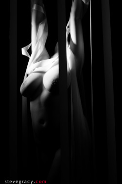 stevegracyphoto: I just put a great set with Rin up on my website. http://stevegracy.com/nude-figure-study-with-hanging-ribbons-nsfw/ Lots of really fun shots playing with ribbons hanging from the ceiling.  Like and Reblog if you appreciate my work. For
