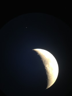astronemma:  Saturn was really close in the sky to the Moon tonight! Here’s what I got with my ‘scope and phone camera.  