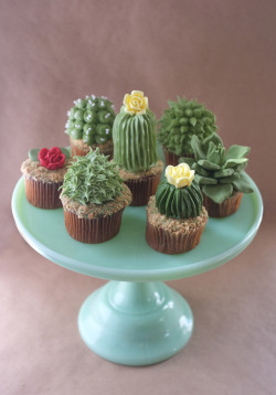 djangodurango:  jspong:  Native succulents. barbryallen:  thecakebar:  DIY: House Plant Cupcakes   …….I need this.   THESE LOOK POSITIVELY… SUCCULENT.  Did you just..