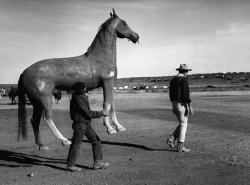 John Wayne&rsquo;s Horse.