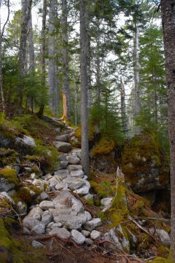 black-metal-hermit: Crossing the path. Crowbar Lake Trails 