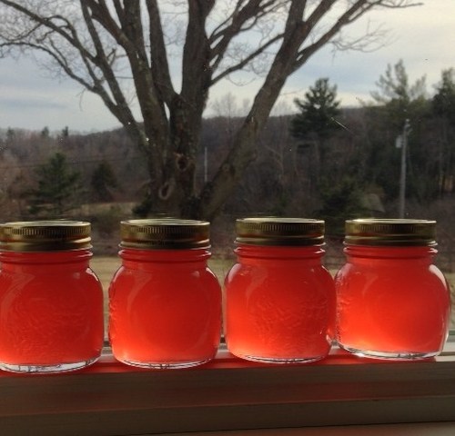 rhubarb jelly from les collines, small batch jam, jelly and preserves from Columbia County, NY