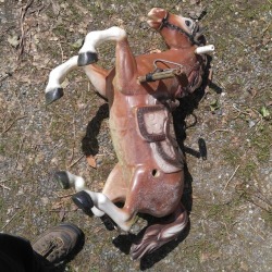 heck-yeah-old-tech: HOBBY HORSE DOWN!! I went to this yardsale and the guy gave me heck about taking this picture – because he only wanted ũ for the hobby horse, and said “if you touched it you bought it.” (I didn’t do either.) It was a fairly