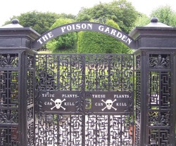 cutie-quinn:  bayoread:  lord-kitschener:  unexplained-events:  The Poison Garden Established in 2005 by the Duchess of Northumberland. The garden contains over 100 deadly and hallucinogenic plants.    ’I wondered why so many gardens around the world