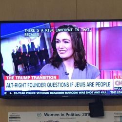 bootyscientist2:  yehudmood: pointmyroses: Do Jews feel things? Do we have horns? Are we really in control of the media? Nazis would like to know.  Y'all, we need to stop calling the alt-right anything but neo-Nazis. this is….unreal   On CNN. This is